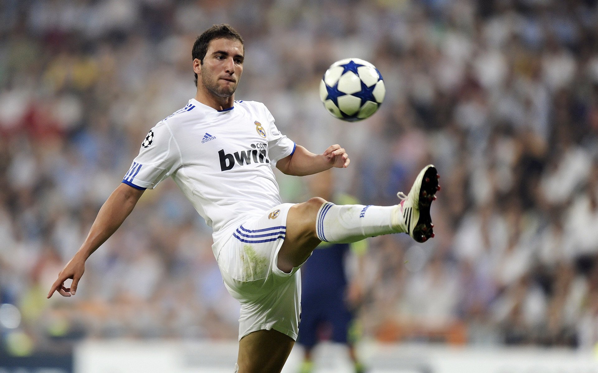 _运动明星与品牌合作：营销策略的成功范例_，运动品牌明星代言